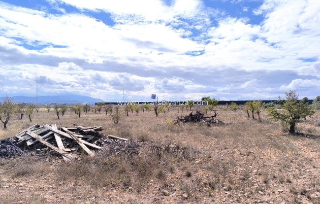 Herverkoop - Country Property/Finca - Yecla - Yecla Centro