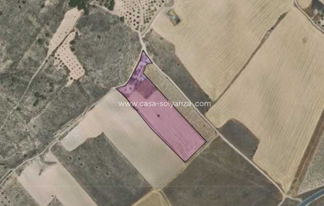 Resale - Country Property/Finca - Yecla - Yecla Centro