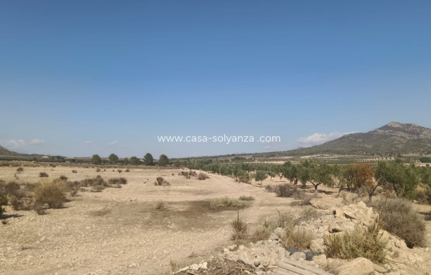 Resale - Land - Salinas - Salinas Centro