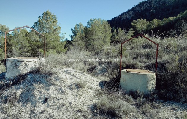 Resale - Country Property/Finca - Yecla - Yecla Centro