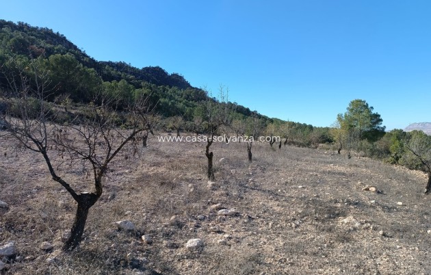 Resale - Country Property/Finca - Yecla - Yecla Centro