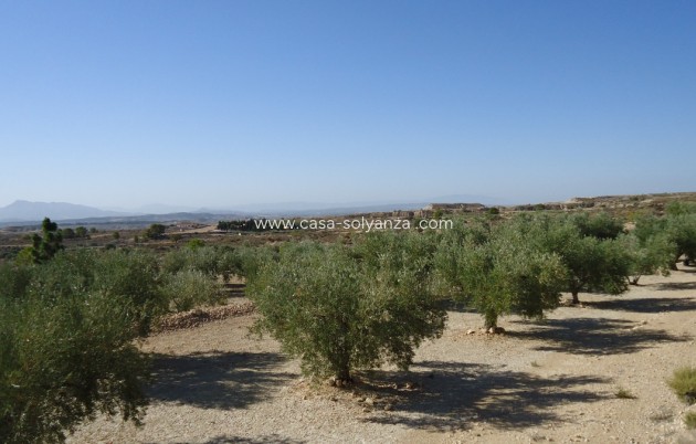 Resale - Land - Abanilla - Abanilla Centro