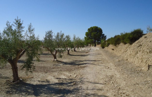 Resale - Land - Abanilla - Abanilla Centro