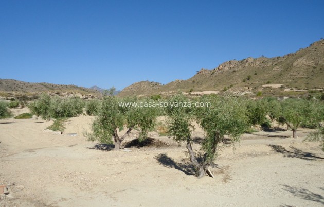 Resale - Land - Abanilla - Abanilla Centro