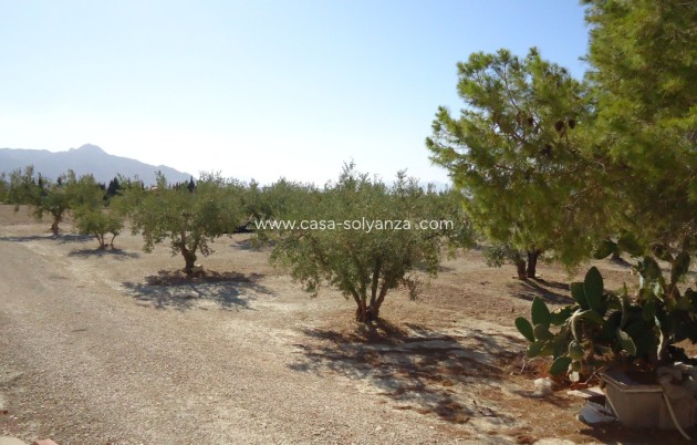 Resale - Land - Abanilla - Abanilla Centro