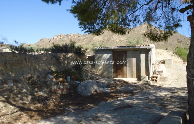 Resale - Land - Abanilla - Abanilla Centro