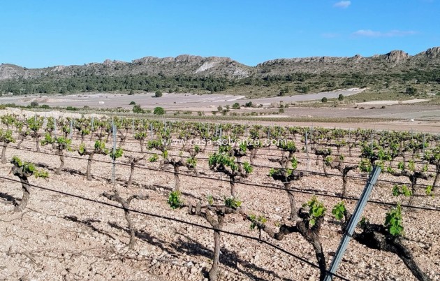 Reventa - Country Property/Finca - Yecla - Yecla Centro