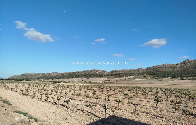 Reventa - Country Property/Finca - Yecla - Yecla Centro