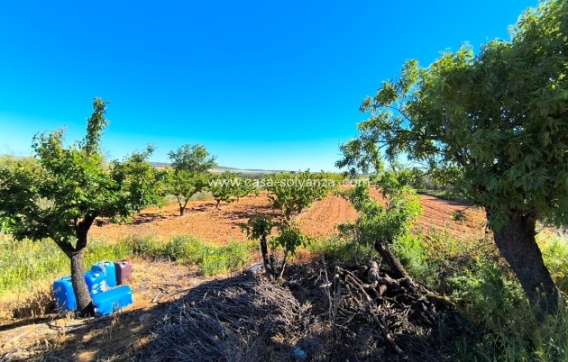 Resale - Country Property/Finca - Yecla - Yecla Centro