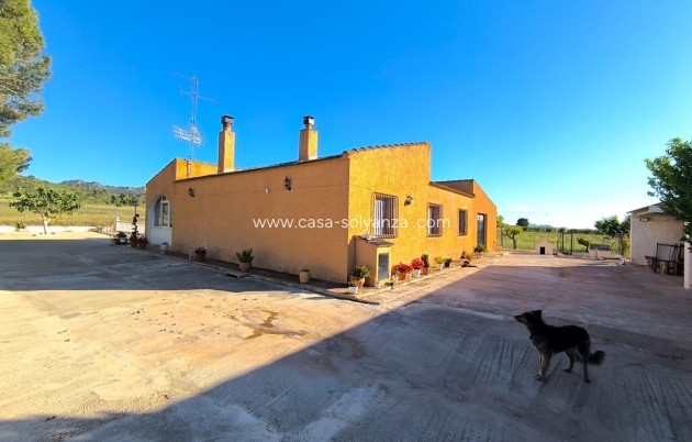 Reventa - Country Property/Finca - Yecla - Yecla Centro