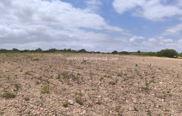 Resale - Land - Pinoso - Pinoso Centro