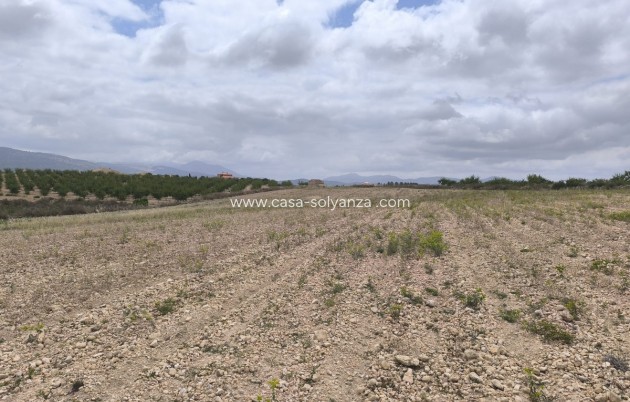 Resale - Land - Pinoso - Pinoso Centro