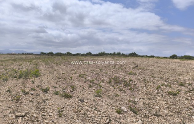 Resale - Land - Pinoso - Pinoso Centro