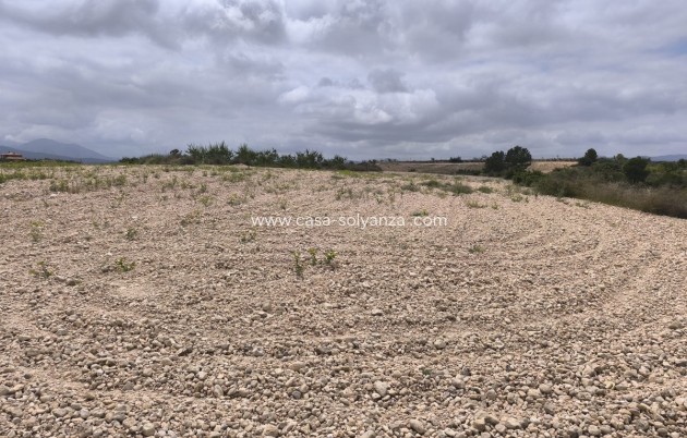 Resale - Land - Pinoso - Pinoso Centro