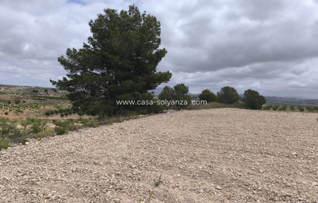 Resale - Land - Pinoso - Pinoso Centro