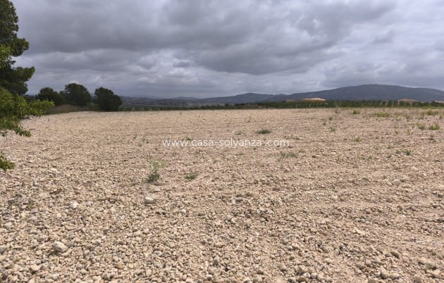 Resale - Land - Pinoso - Pinoso Centro