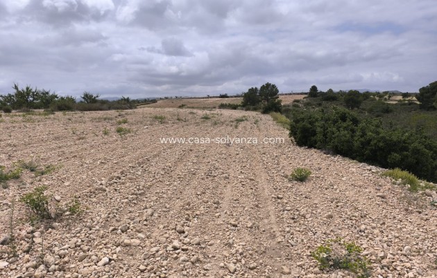 Resale - Land - Pinoso - Pinoso Centro
