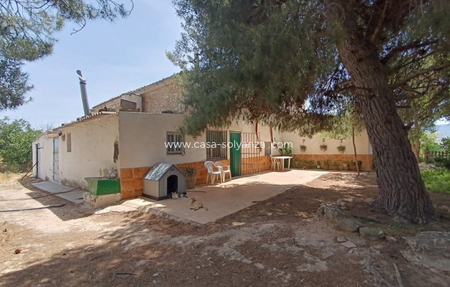 Resale - Country Property/Finca - Yecla - Yecla Centro