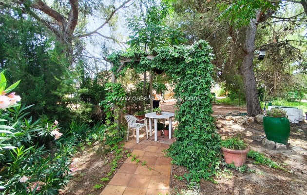 Resale - Country Property/Finca - Yecla - Yecla Centro