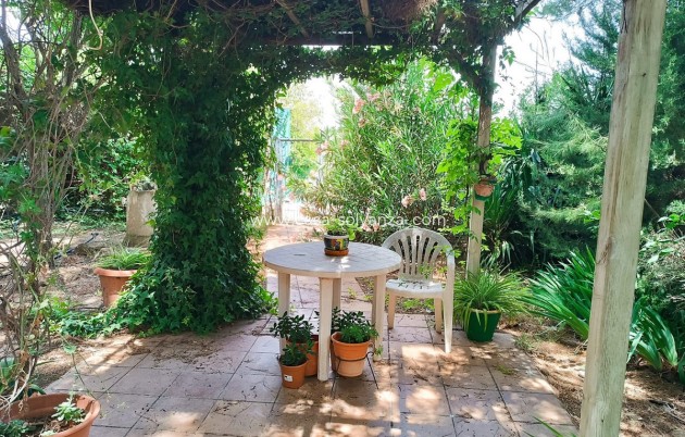 Resale - Country Property/Finca - Yecla - Yecla Centro