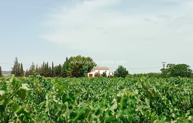 Resale - Country Property/Finca - Yecla - Yecla Centro