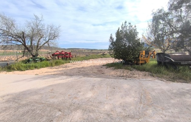 Resale - Country Property/Finca - Yecla - Yecla Centro
