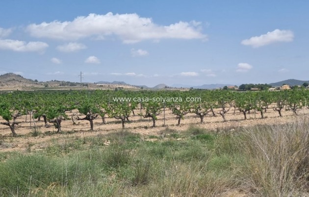 Resale - Land - Pinoso - Pinoso Centro