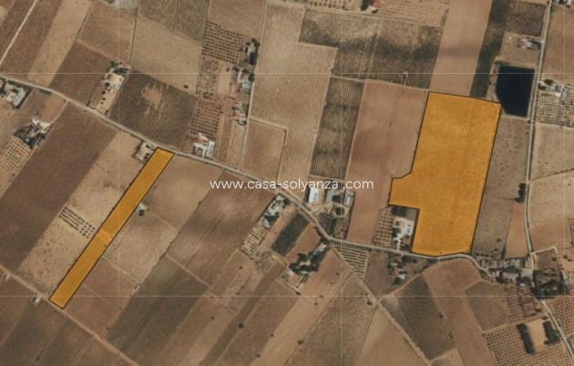 Resale - Land - Yecla - Yecla Centro