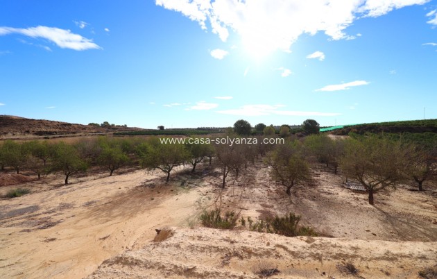 Resale - Land - Orihuela - Torremendo