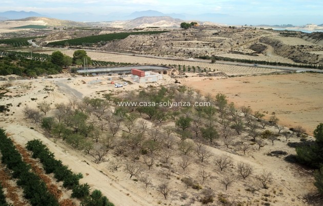 Resale - Land - Orihuela - Torremendo