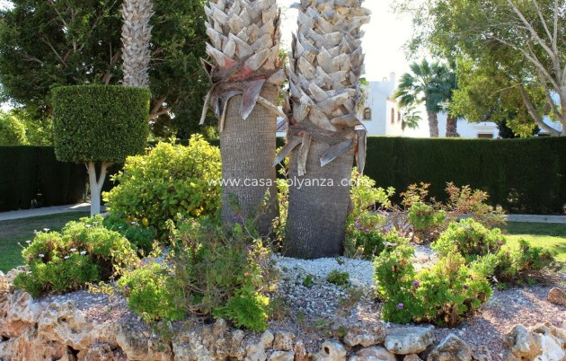 Revente - Appartement - Orihuela - Villamartin