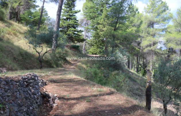Reventa - Villa - Penaguila - Inland