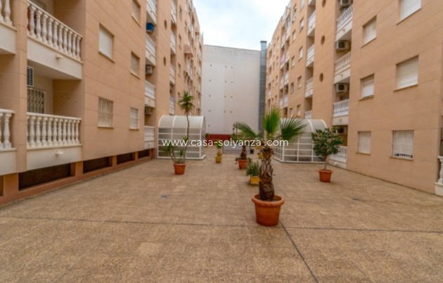 Resale - Apartment / flat - Torrevieja - Costa Blanca