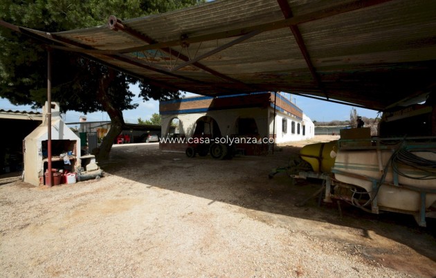 Wiederverkauf - Villa - Guardamar del Segura - Costa Blanca