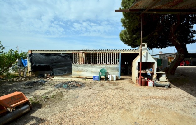 Wiederverkauf - Villa - Guardamar del Segura - Costa Blanca
