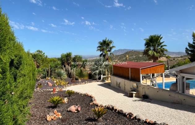 Resale - Villa Detached - La Zarza - Inland