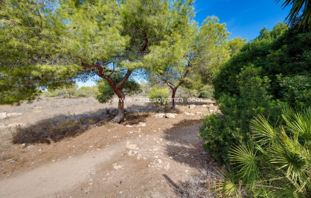 Resale - Townhouse - Torrevieja - La Siesta