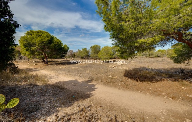 Resale - Townhouse - Torrevieja - La Siesta