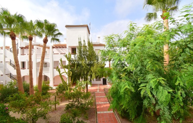 Wiederverkauf - Wohnung - Orihuela - Villamartin