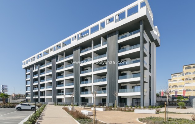 Wiederverkauf - Wohnung - Torrevieja - La Mata
