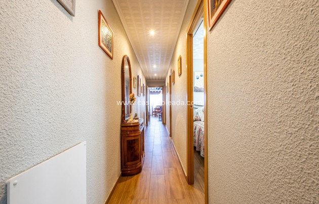 Revente - Appartement - Torrevieja - Acequion