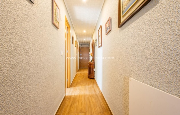 Revente - Appartement - Torrevieja - Acequion