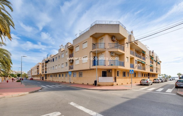 Resale - Apartment / flat - Torrevieja - Playa De Los Naufragos