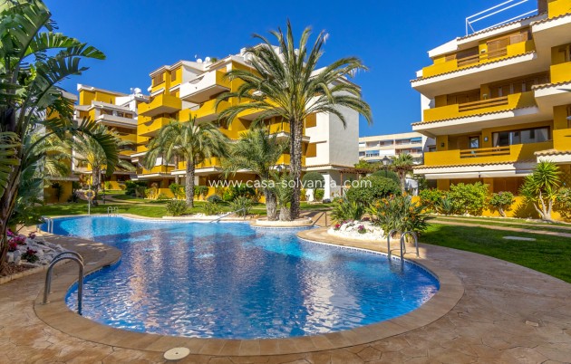 Wiederverkauf - Wohnung - Torrevieja - Costa Blanca