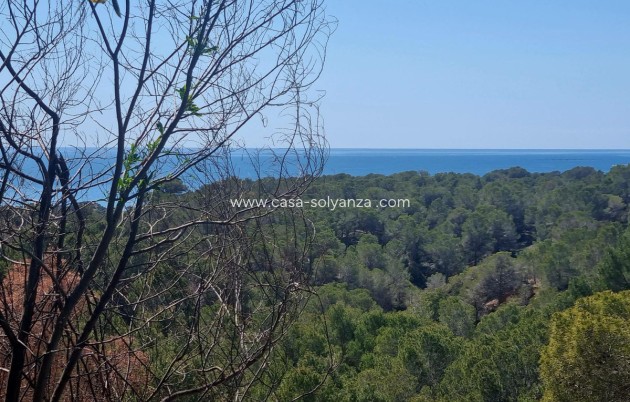Wiederverkauf - Commercial Property - Altea - Altea Centro