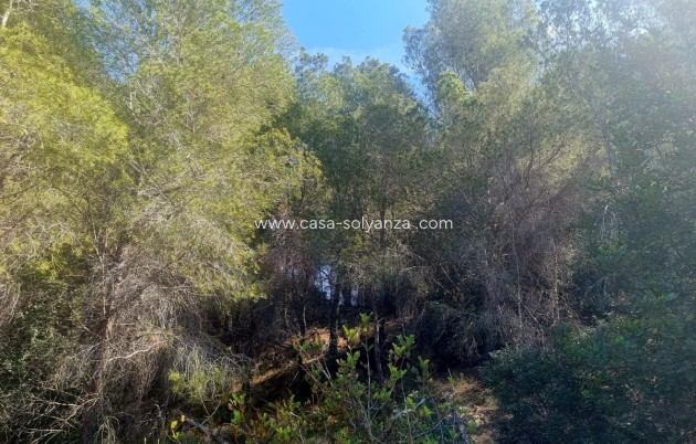 Wiederverkauf - Commercial Property - Altea - Altea Centro