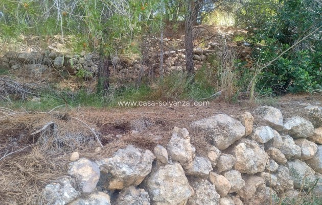 Wiederverkauf - Commercial Property - Altea - Altea Centro