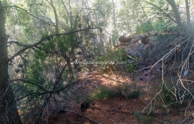 Wiederverkauf - Commercial Property - Altea - Altea Centro