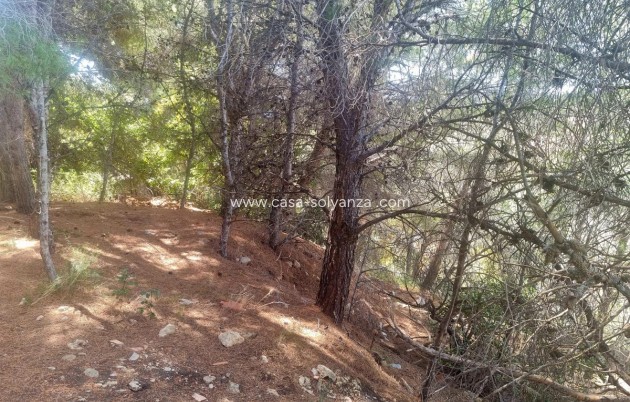 Wiederverkauf - Commercial Property - Altea - Altea Centro
