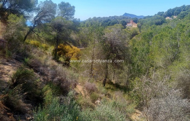 Wiederverkauf - Commercial Property - Altea - Altea Centro